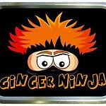 Ginger Ninja